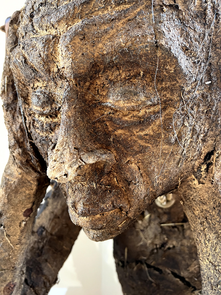 Paweł Althamer, Muzeum Susch