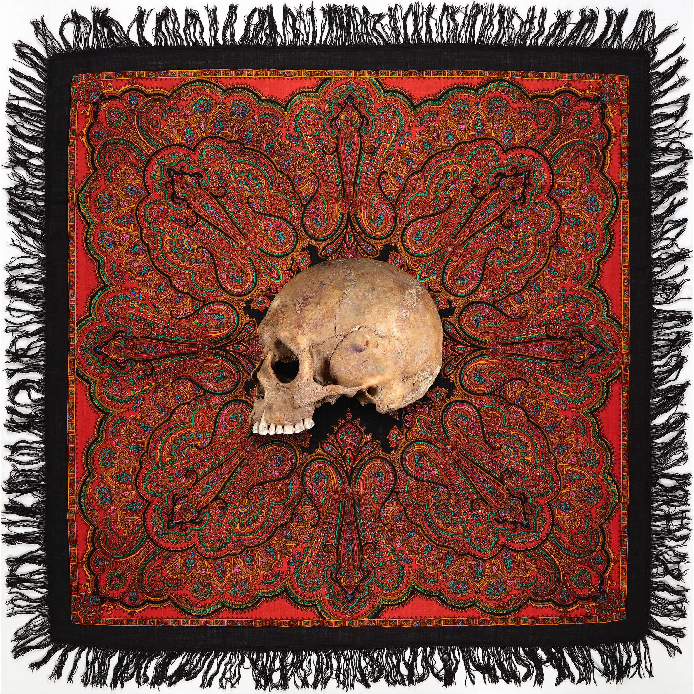 Zofia Kulik Ethnic Wars. Large Vanitas Still Life, 1995 – 2017