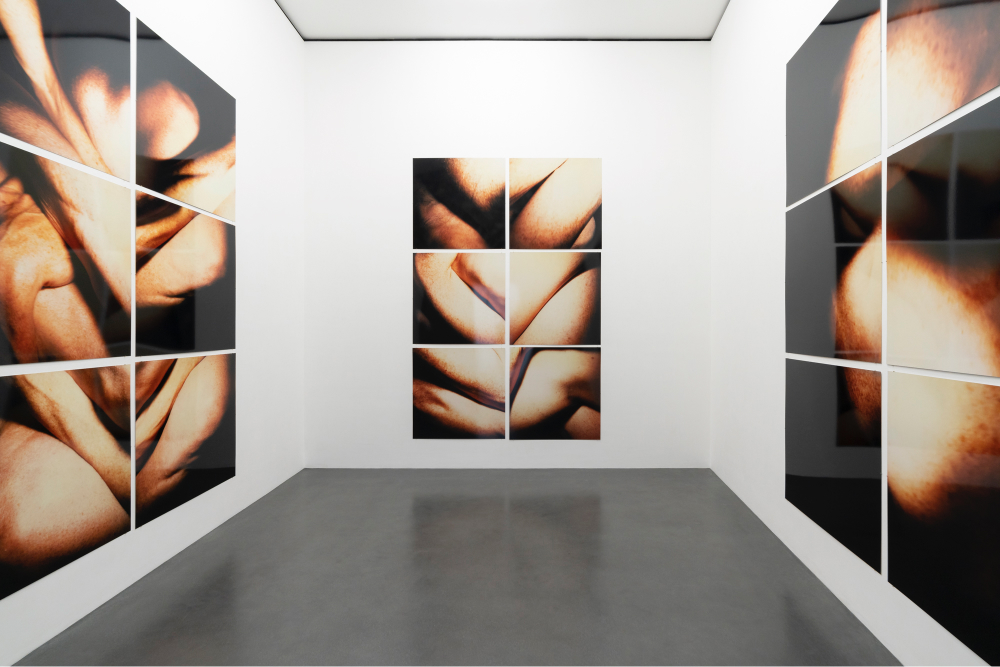 Hannah Villiger: Amaze Me Curated by Madeleine Schuppli & Yasmin Afschar